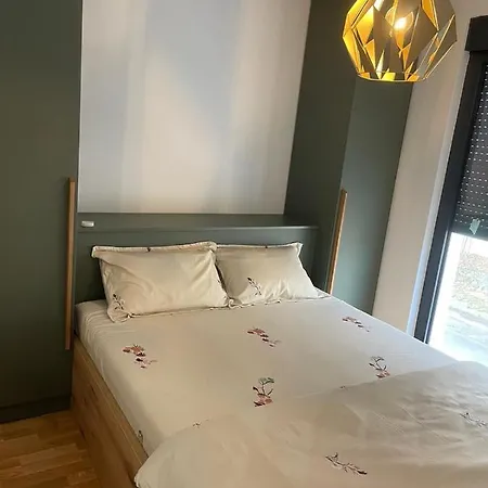 Vila Dr Milovan U Centru Vrnjacke Banje Vrnjačka Banja