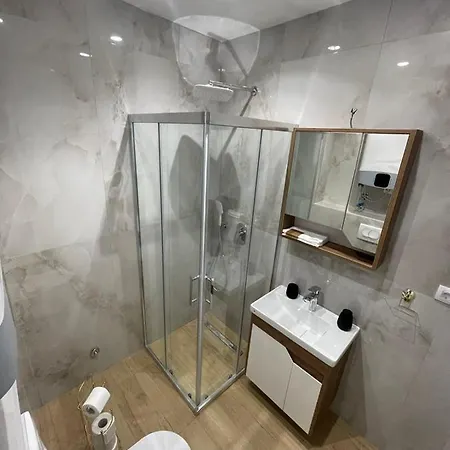 Apartman Vila Dr Milovan U Centru Vrnjacke Banje Vrnjačka Banja
